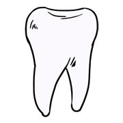 back teeth